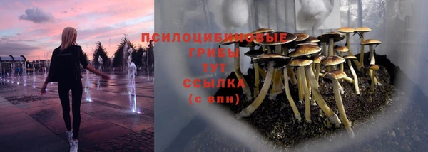 спиды Нея