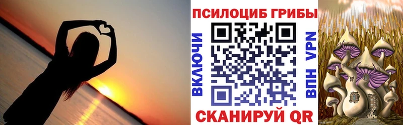 mega   Полярные Зори  Псилоцибиновые грибы мухоморы 